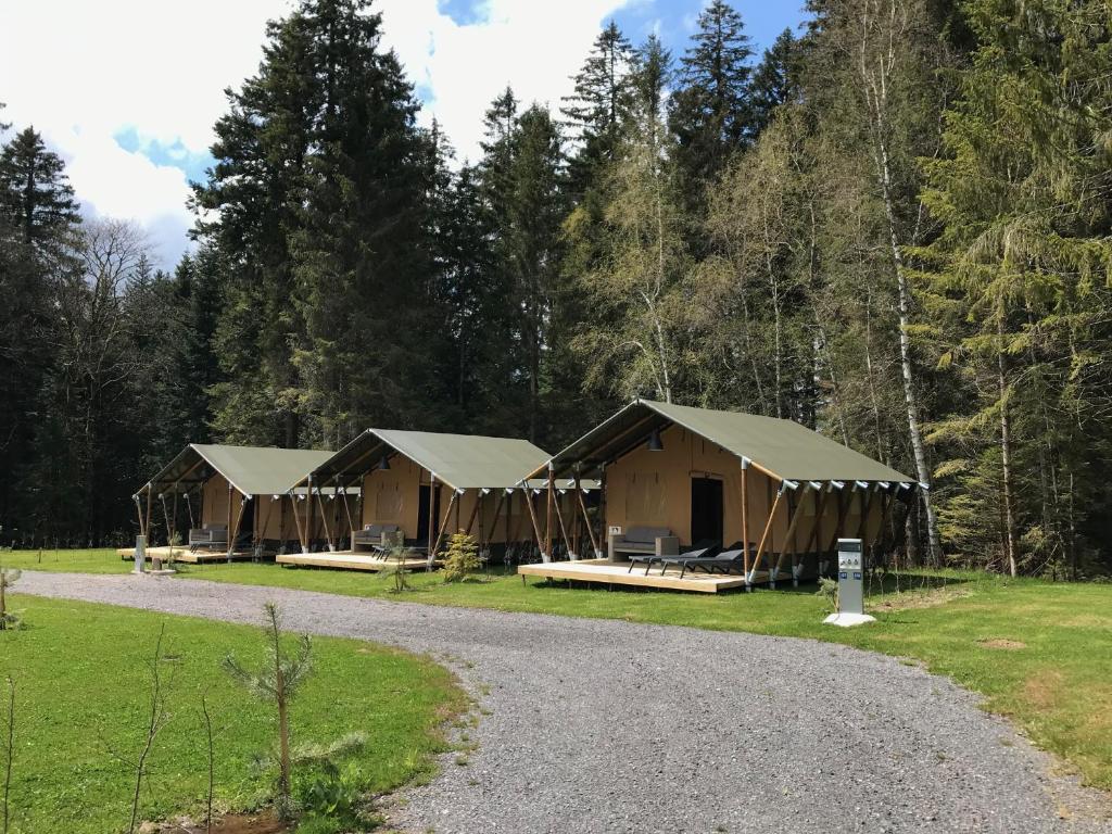 Budget Glamping Safaritent - La Steniole photo 1