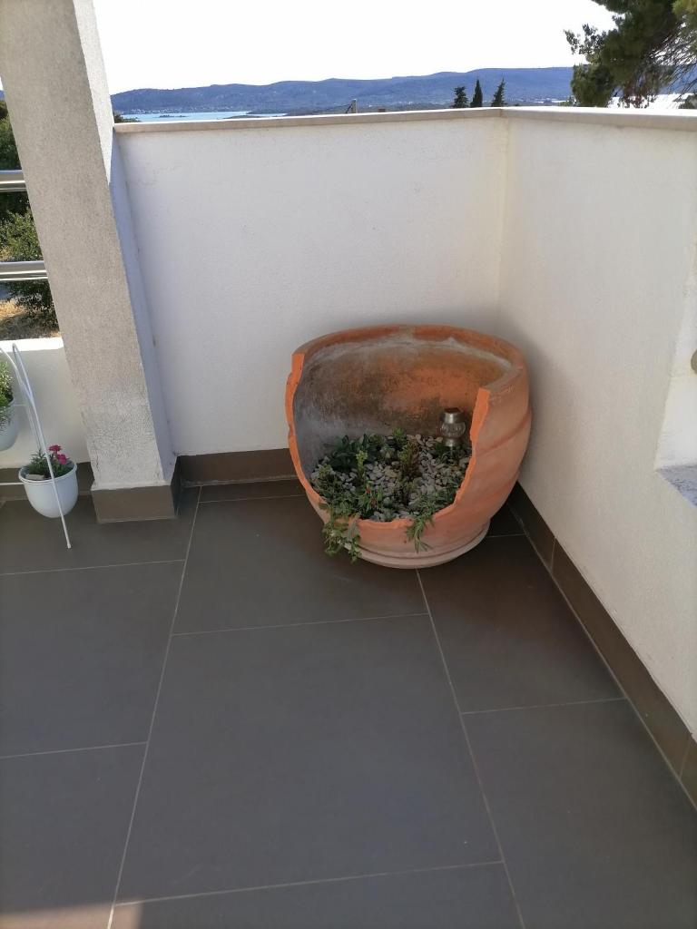 Apartman Luna photo 4