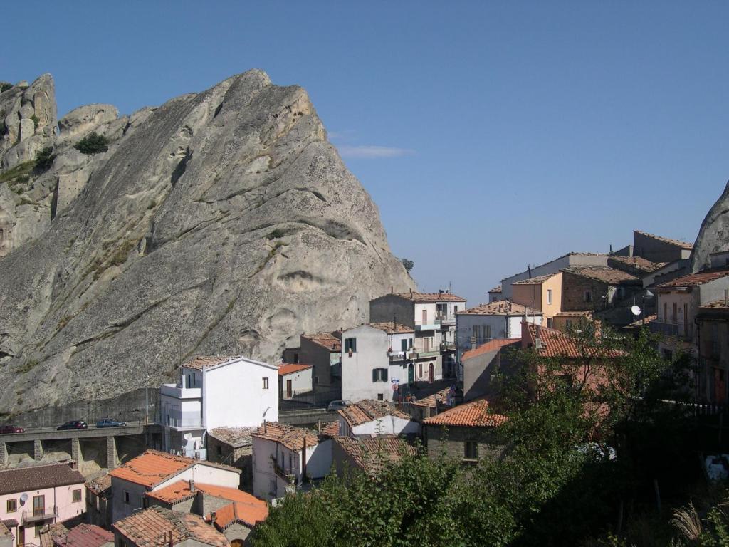 lupo photo 1