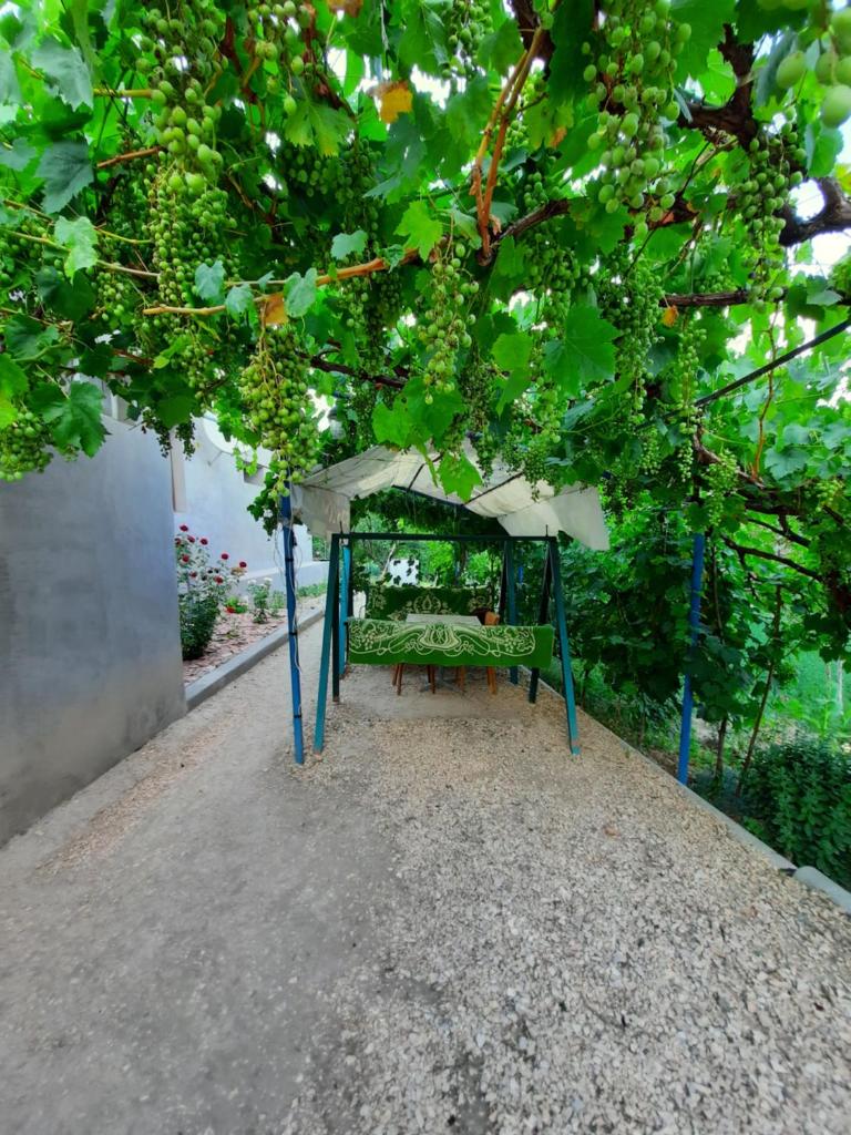 Ararat B&B photo 2