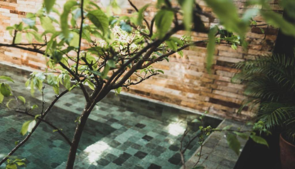 Tropical House - Villa com piscina perto do mar photo 1
