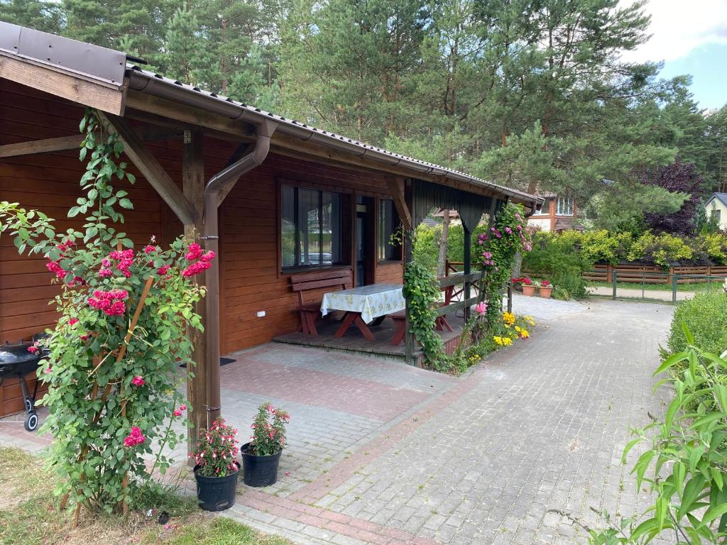 Domek letniskowy nad jeziorem Wiejskim photo 1