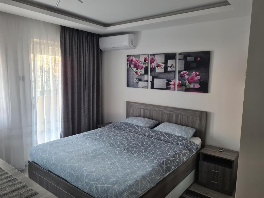 Ema Apartman photo 1