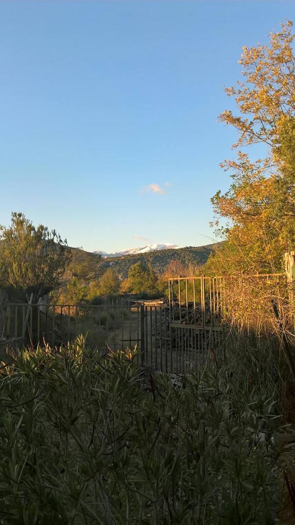 La casa nel bosco photo 4