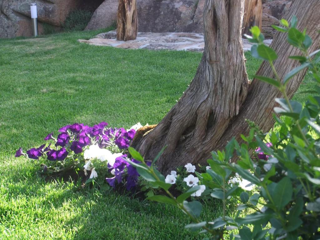 Residenza Nialiccia photo 3