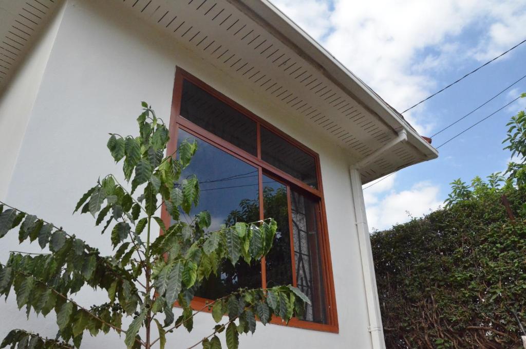 Barazani Garden Villa photo 4