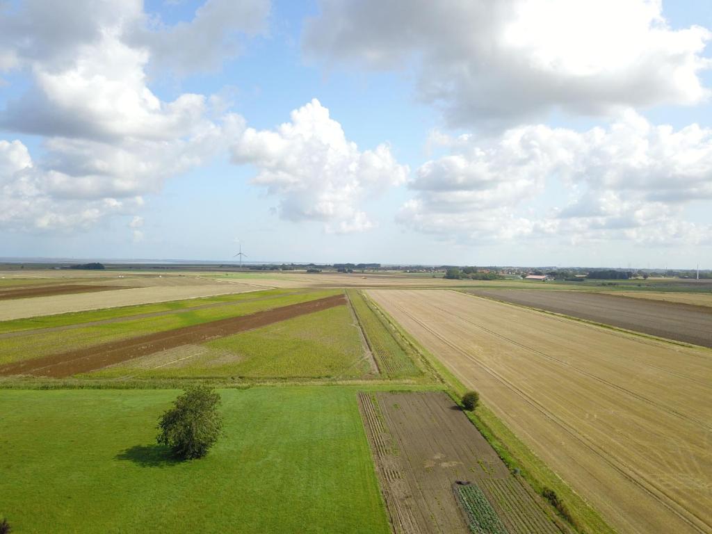 Pension Nele Hohaus photo 2