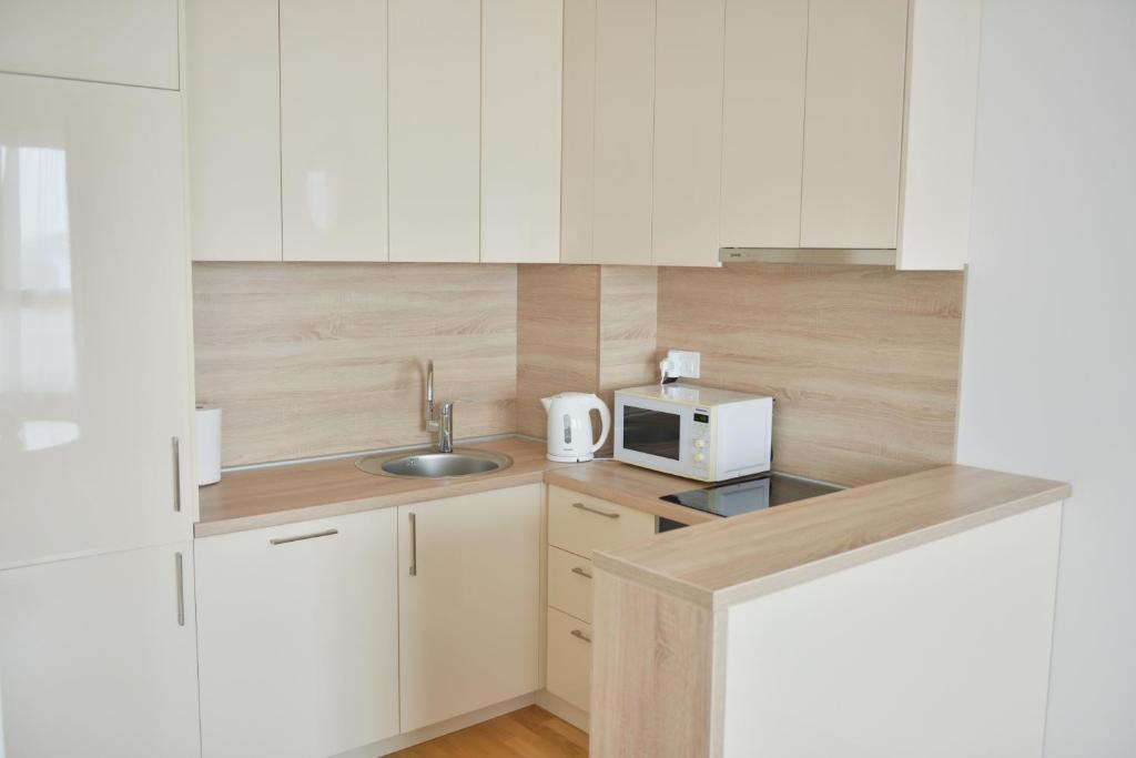 Tramonto Onebedroom apartment with sea view in Becici photo 3
