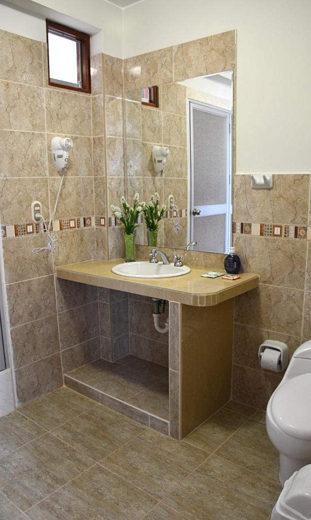 Hotel Sol del Sur photo 4
