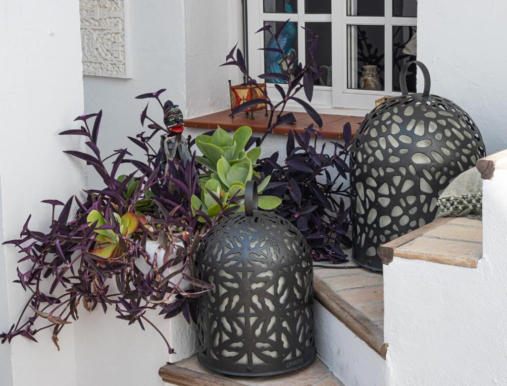 CASA AMARO photo 4