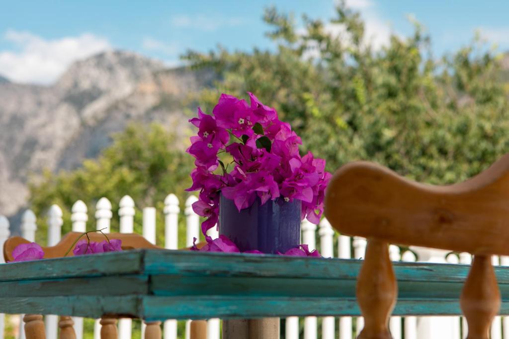 Olya Boutique Hotel photo 3