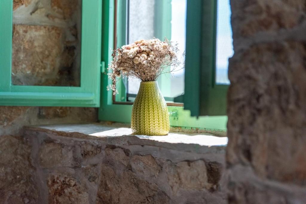 Villa Pristinus photo 4