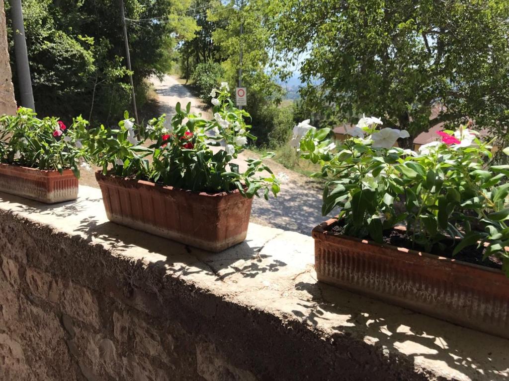 Casolare in Umbria -Parco regionale Monte Cucco photo 4