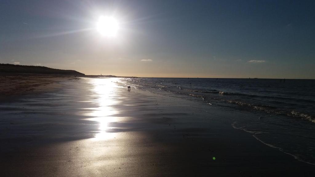 dreamingzeeland photo 3
