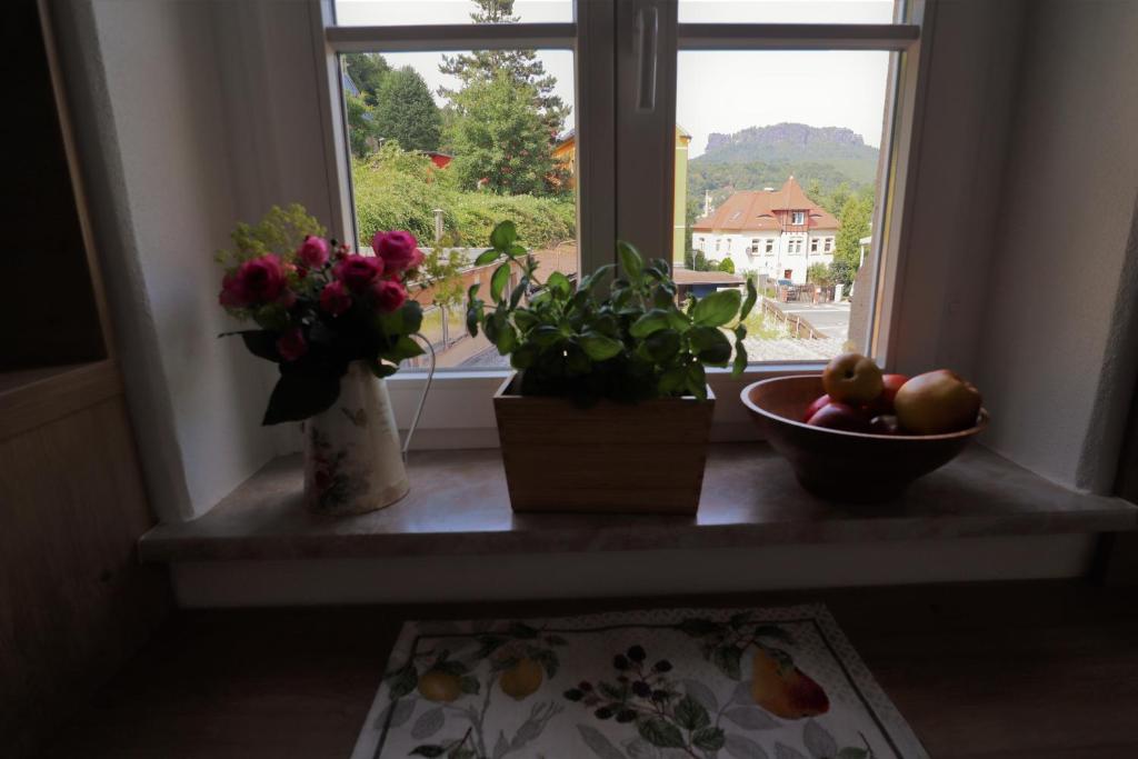 Ferienwohnung zum Bielatal photo 4