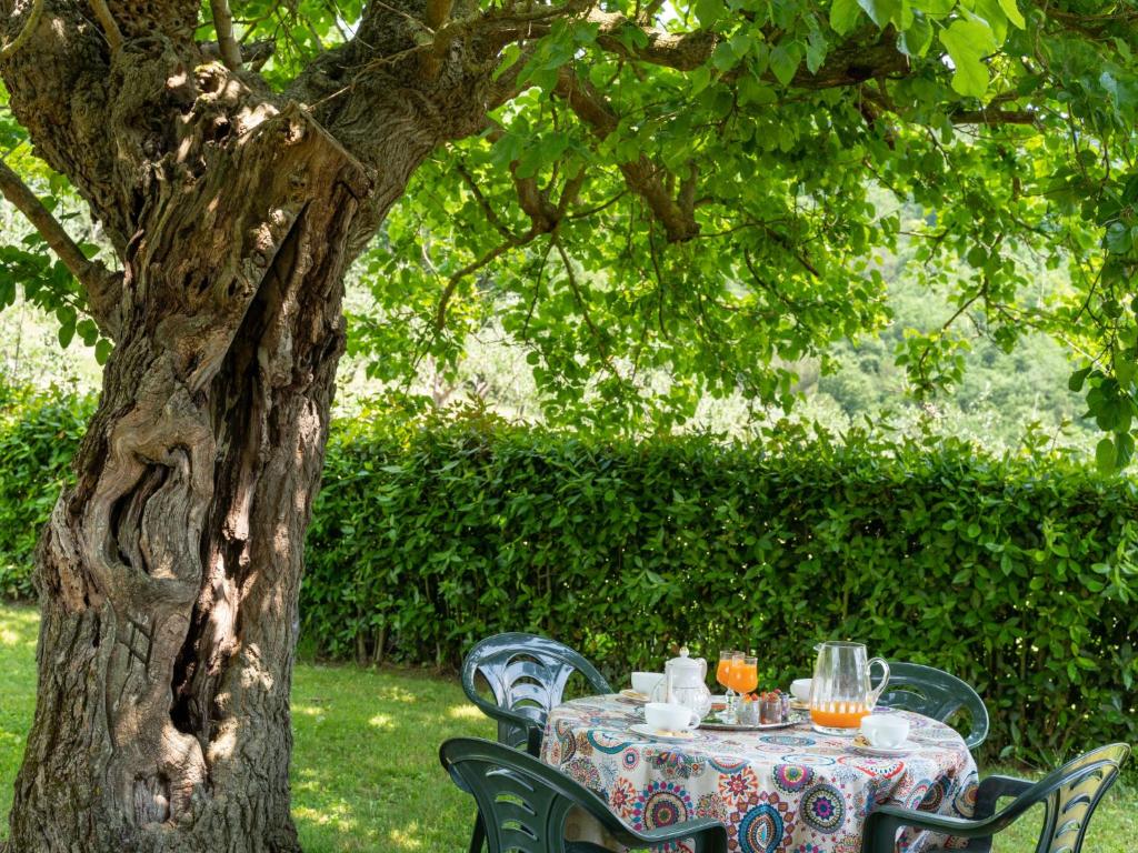 Apartment Vigna La Corte-5 by Interhome photo 4