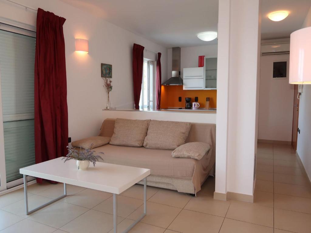 Apartment Milevoj - RAC158 by Interhome photo 3