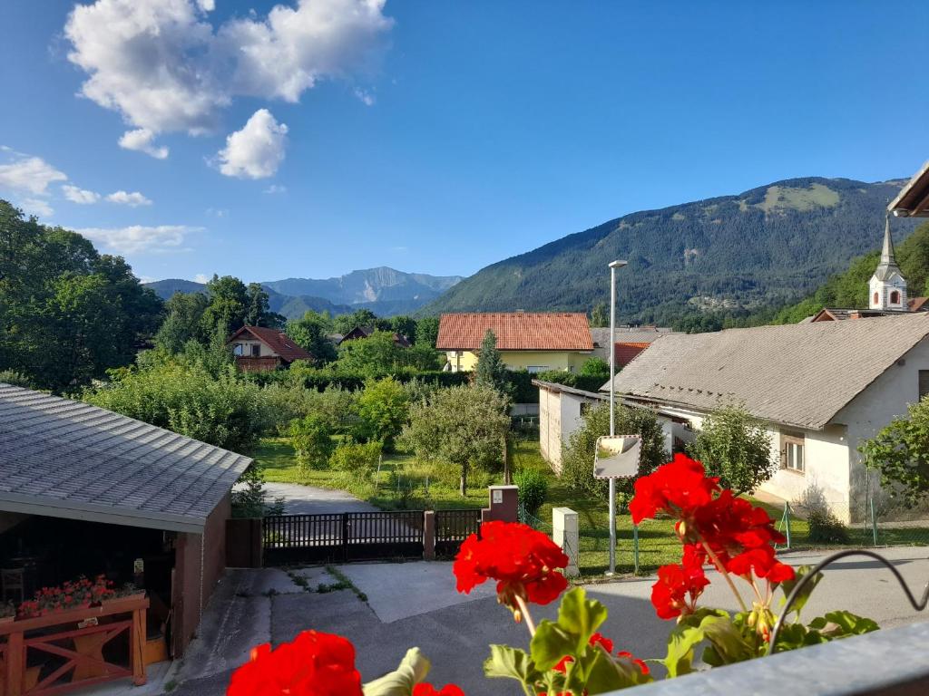 Apartma Marička photo 2