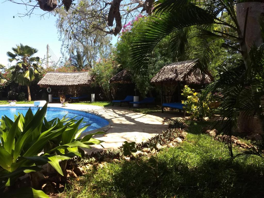 Zarafa House photo 4