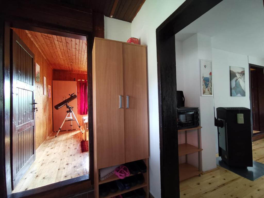Uvac Griffon photo 1