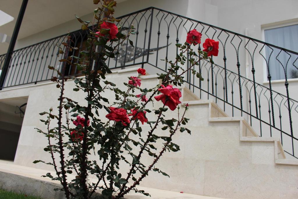 Ayaklı Göl Evleri photo 3