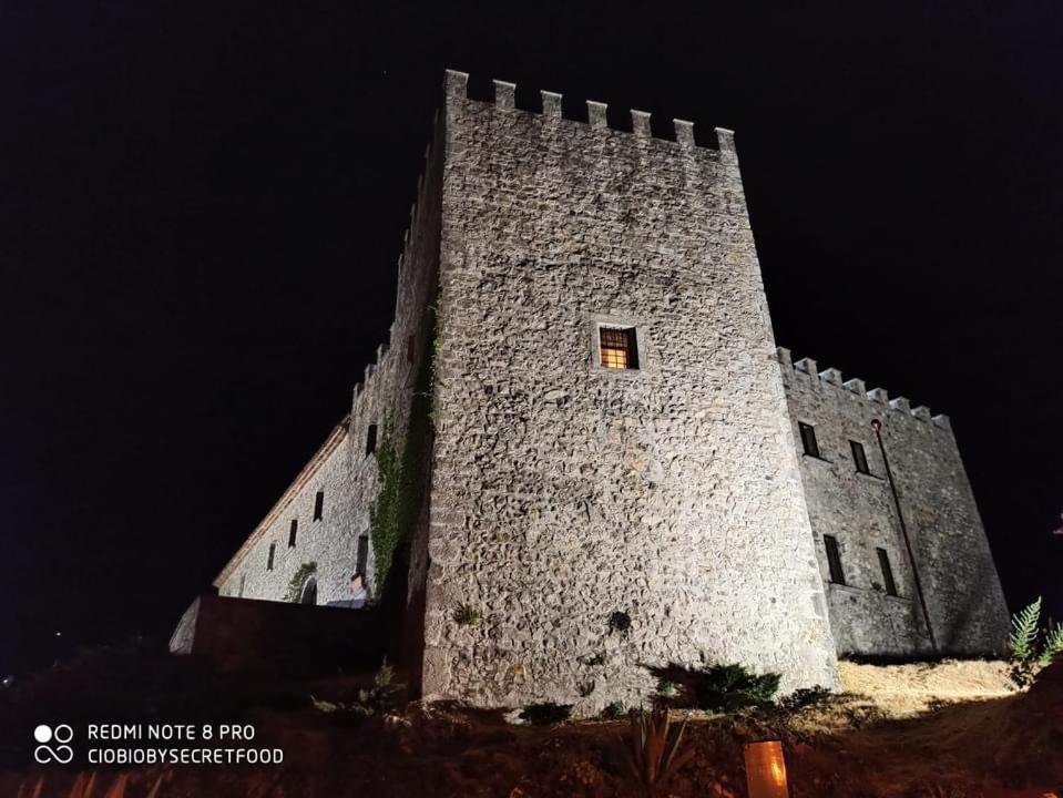 Il Castello dei Principi Sanseverino photo 2