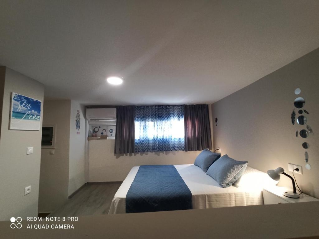 4 Seasons House photo 4