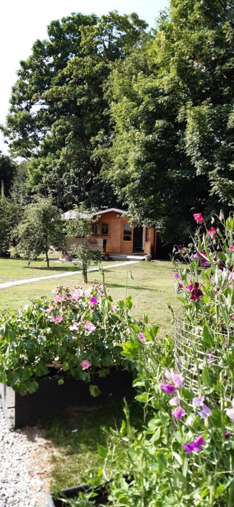 Agnes Bed and Breakfast photo 4