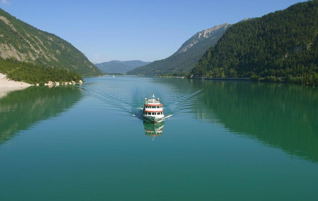 Одноместный (Одноместный номер), Haus Alpenblick