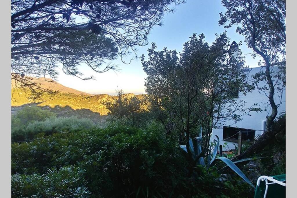Casa Mariposa photo 3