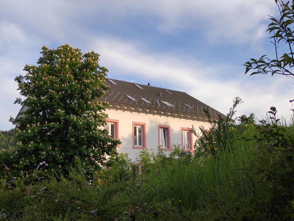 Abschalten am Albsteig in Albbruck im Süd-Schwarzwald großzügige Ferienwohnung photo 4