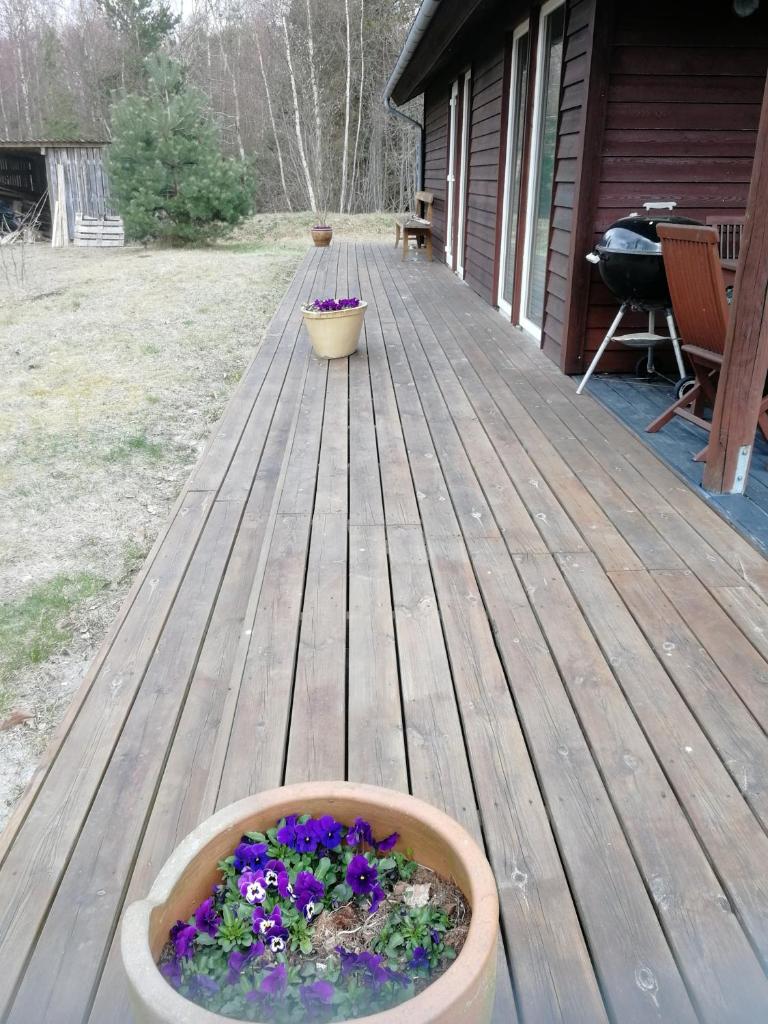 HAVBLIK I SYDHAVNEN photo 4