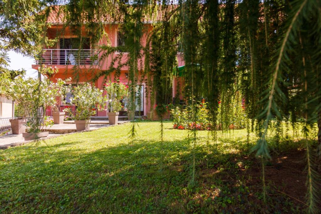 Apartment & Rooms Aleksandar photo 1
