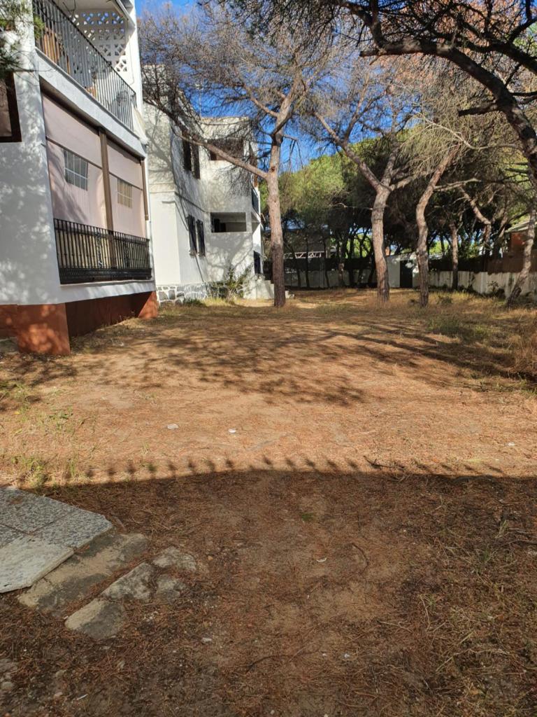PINO BEACH photo 4