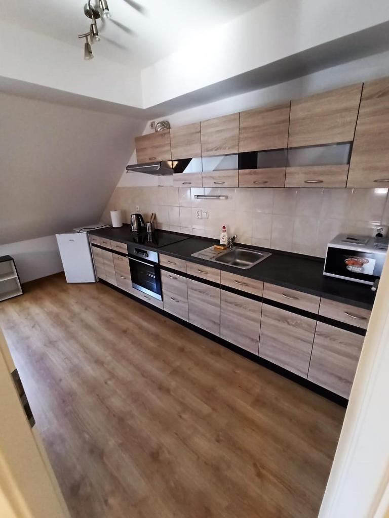 Apartmany U Lva photo 2