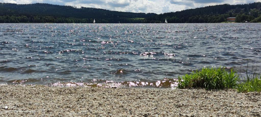 U Macháčků - Lipno photo 3