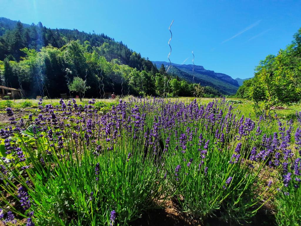 La Bergerie à Menée photo 4
