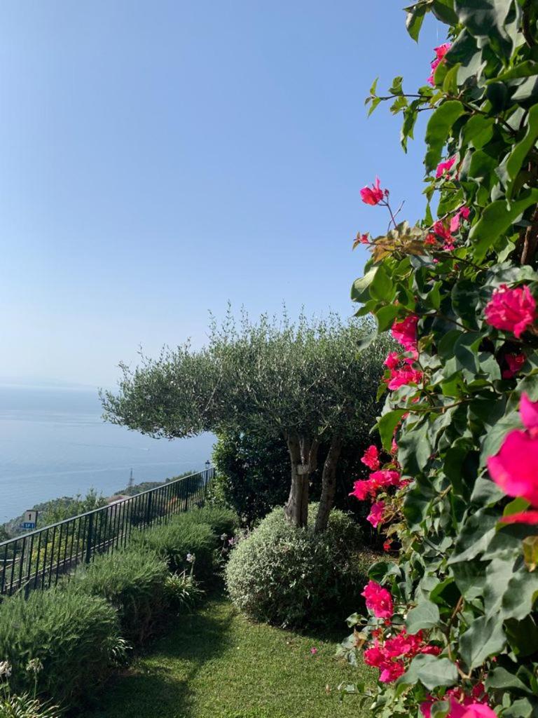 Villa Gelsomina photo 1