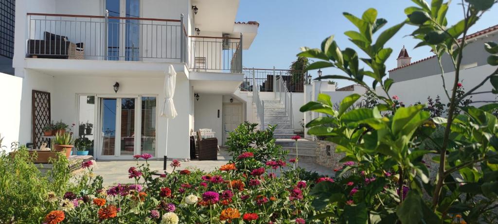 Meraki Skopelos