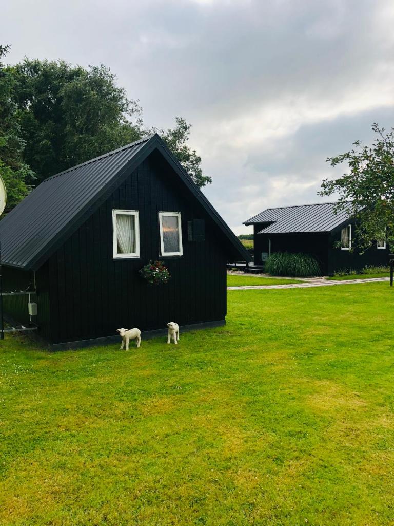Ferienhaus Vogelkoje photo 1