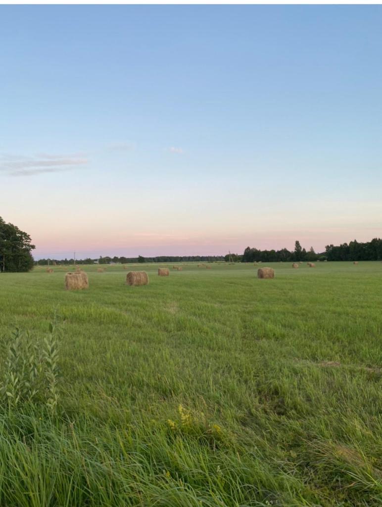 Private Hiiumaa Cottage plus Sauna and new indoor bathroom photo 4