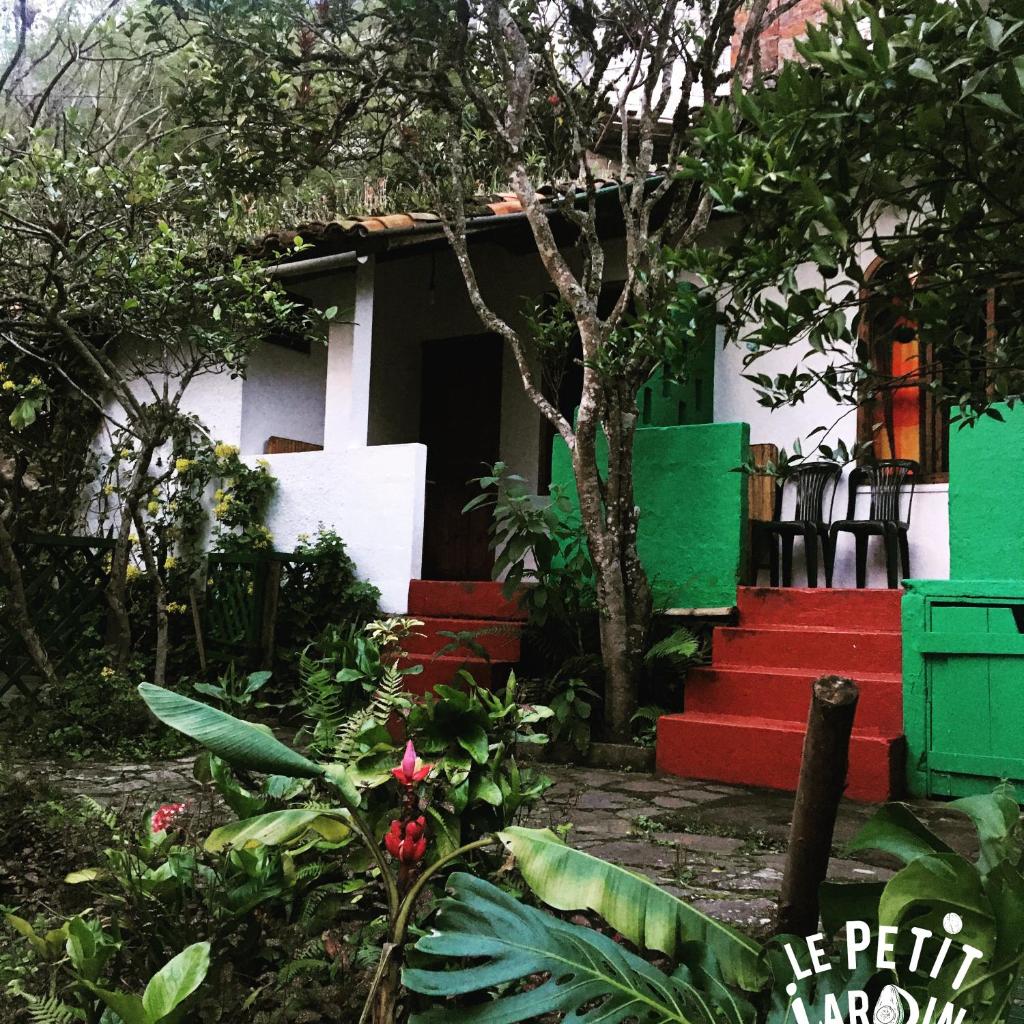 Le Petit Jardin photo 4