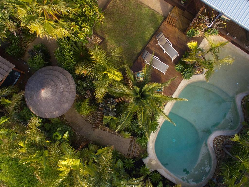 Como Palm Retreat photo 1