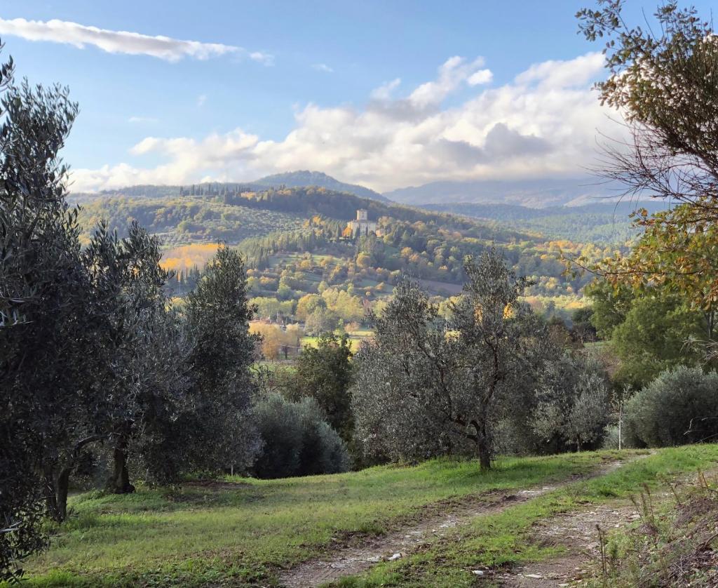 Palazzolo Resort - Anghiari photo 3