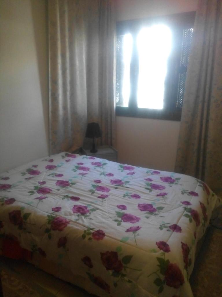 House with Wala Garden photo 3