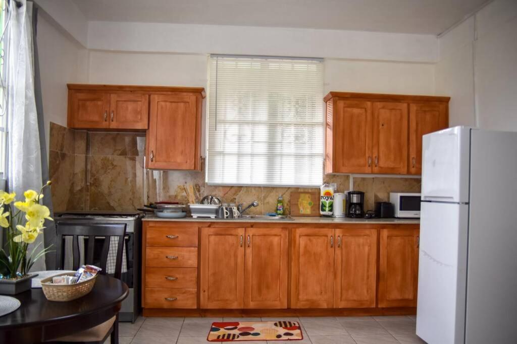 Large Comfortable Apartment #4 in Roseau by The Green Castle photo 3