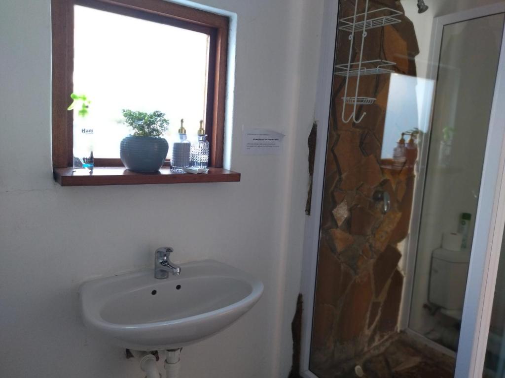 Serenity Cove-Beach Blue Room photo 4