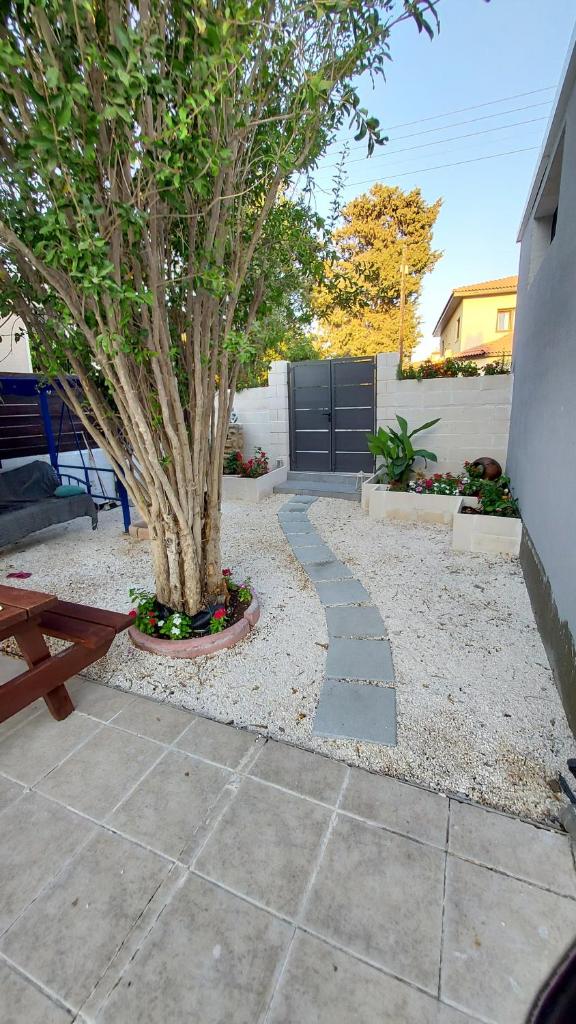Pool and Garden Home photo 2