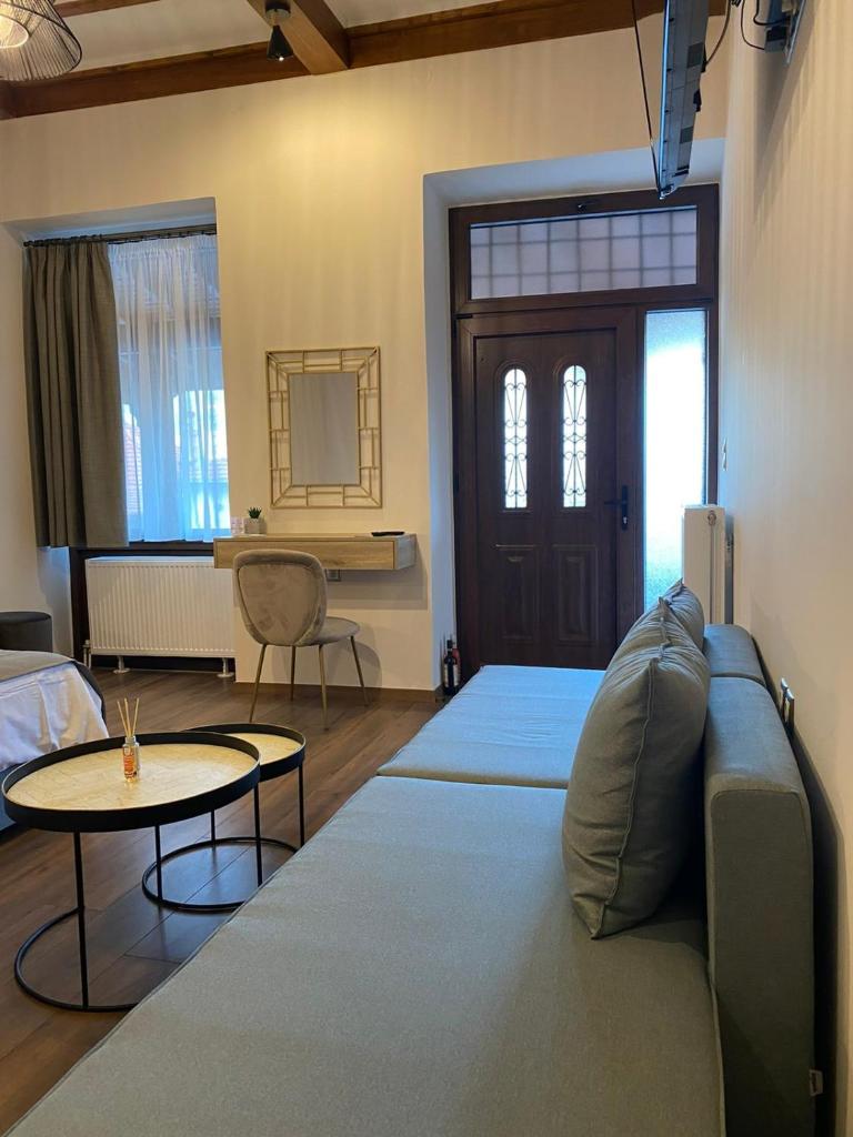 11 Luxury Apartments Metsovo. photo 4