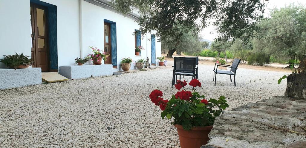 Agriturismo Su Barcu photo 3